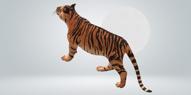 Tiger isolated on a Transparent Background