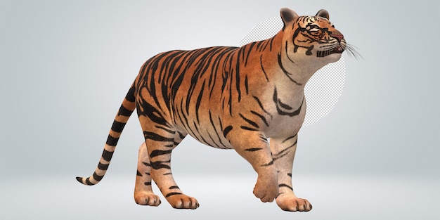 PSD tiger isolated on a transparent background