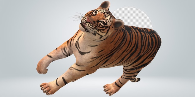 Tiger isolated on a Transparent Background