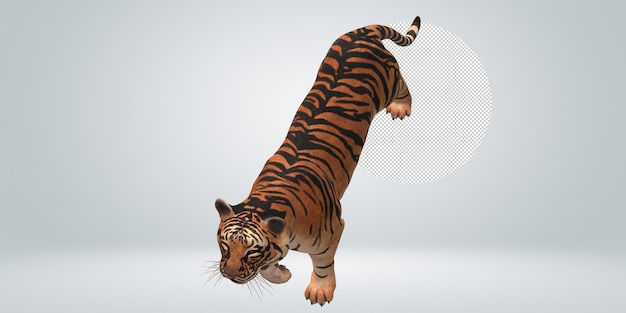 Tiger isolated on a Transparent Background