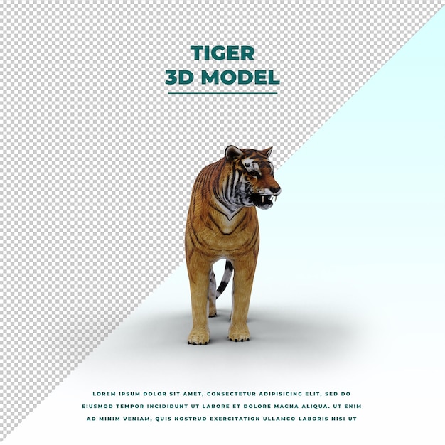 Tiger isolated