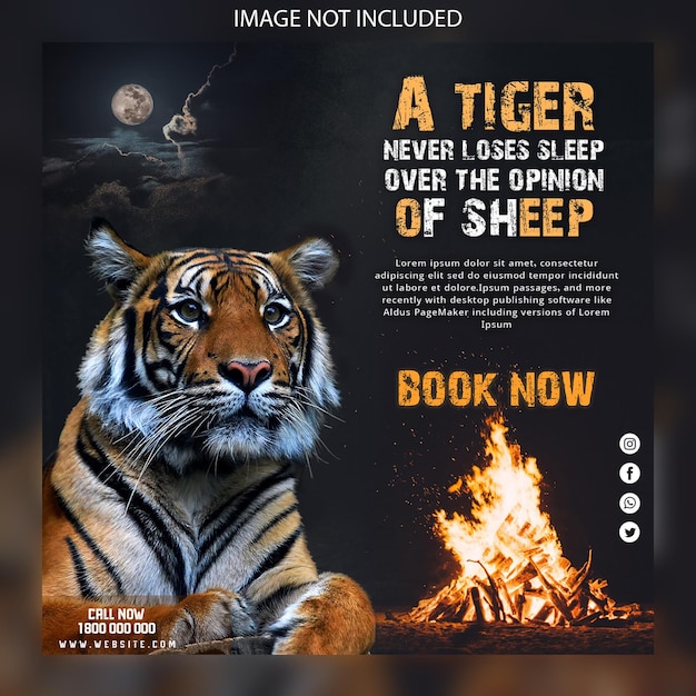 PSD tiger photo social media promotion and banner post design template