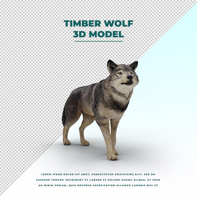 Timber Wolf