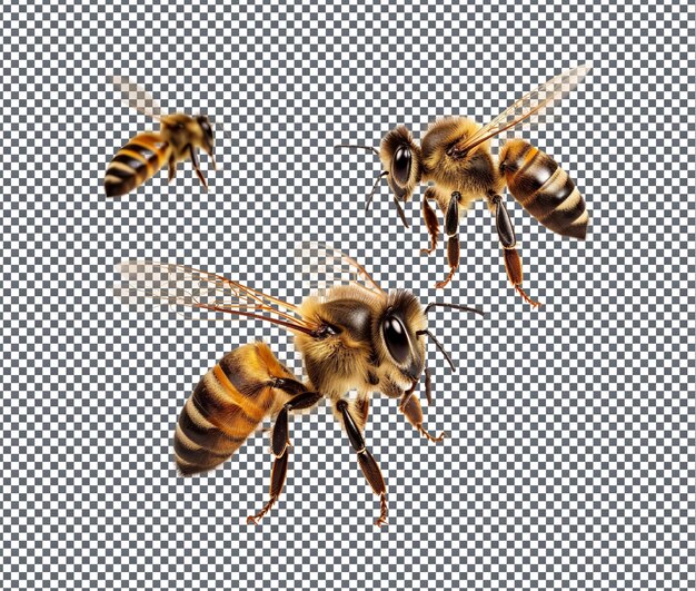 PSD tiny cute bees isolated on transparent background