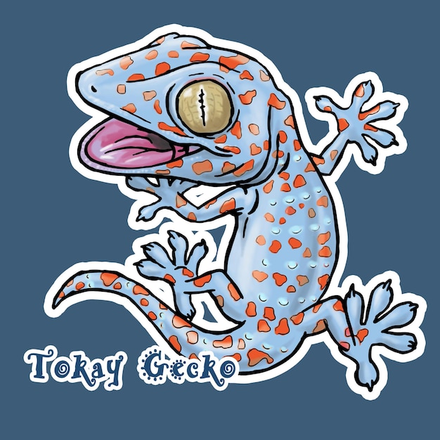 PSD tokay gecko