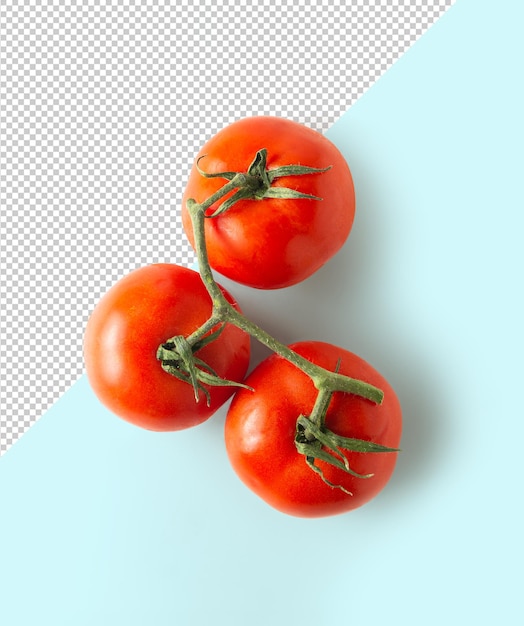 Tomatenmodel bovenaanzicht