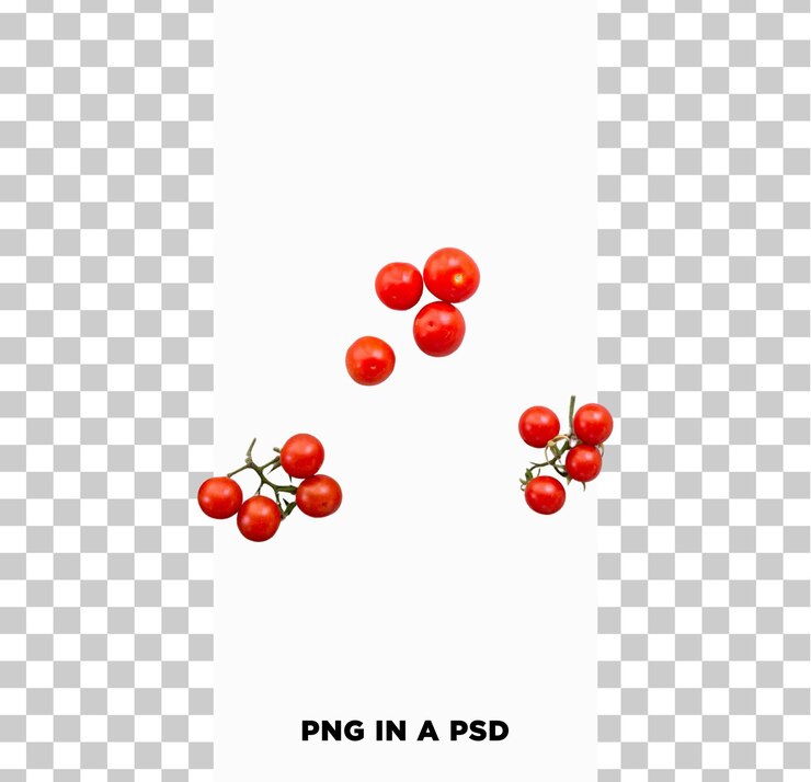 PSD tomato plants png in a psd