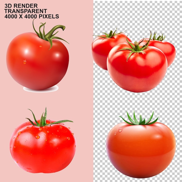 tomato vegetable