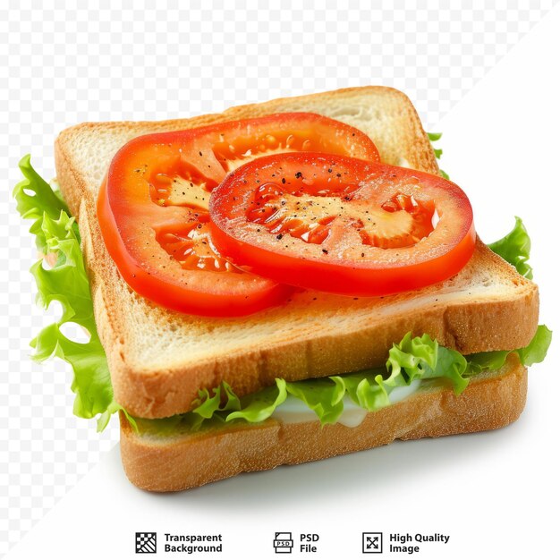 PSD tomatoes on toast sandwich appetizing