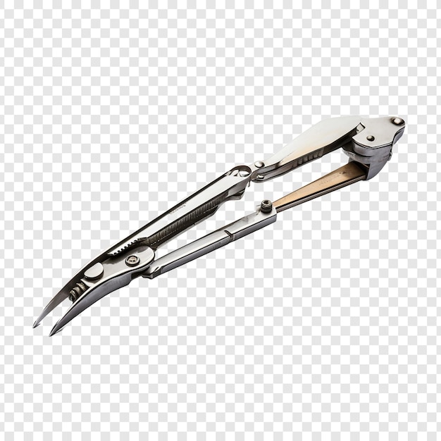 Tongs isolados em fundo transparente