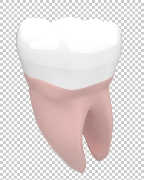 Tooth implant on transparent background 3d rendering illustration