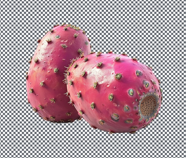 PSD toothsome celestial cactus pear geïsoleerd op een transparante achtergrond