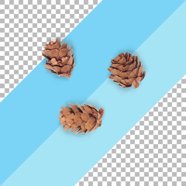 PSD top up view isolated three pine cones