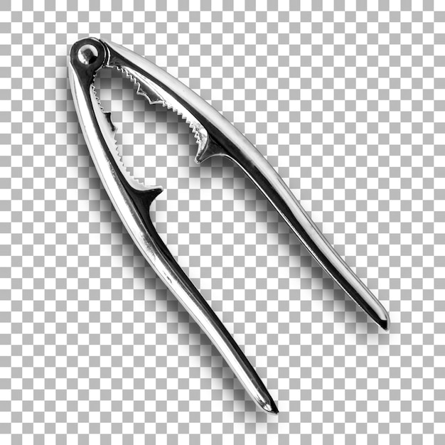 Top up view nut cracker for your asset design