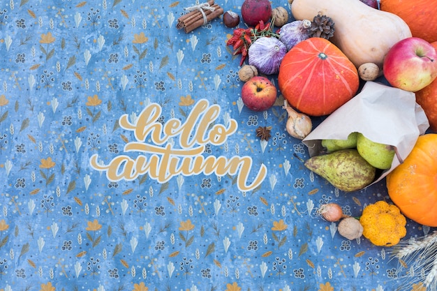 Top view of autumn harvest with blue background