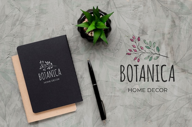 Top view botanic home decor concept