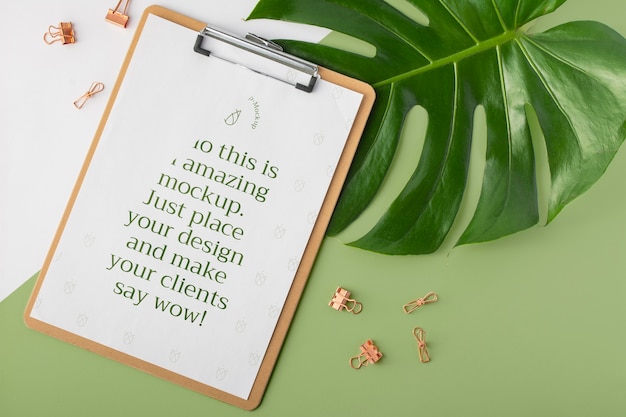 Top view clipboard and monstera plant