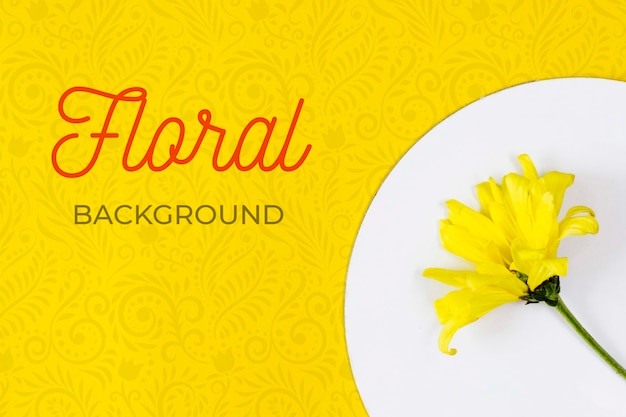 top view colorful floral background