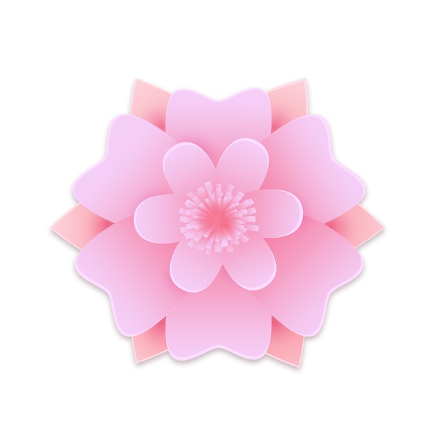 PSD top view cute pink flower