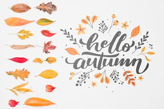 PSD top view decoration with autumn leaves