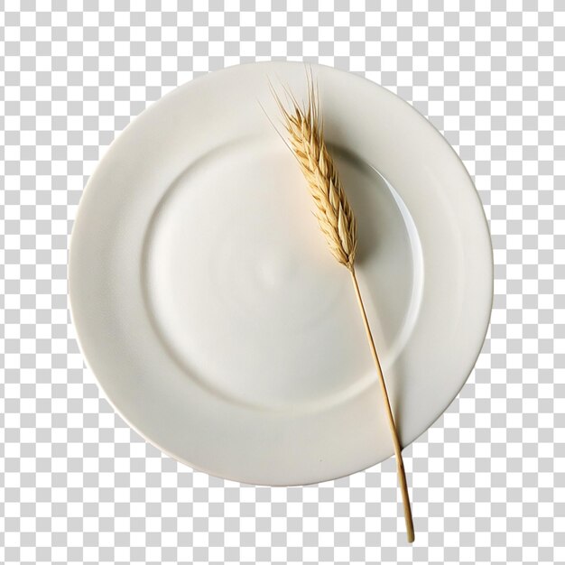 Top view of empty plate and wheat spikelet isolated on transparent background