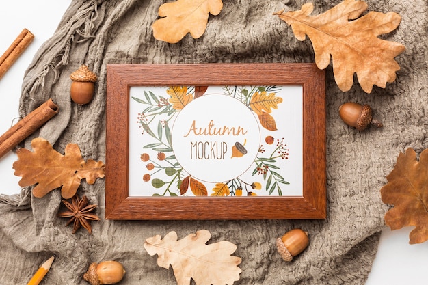 top view frame and acorns