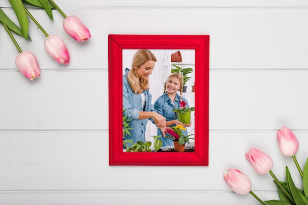 Top view of frame with spring tulips