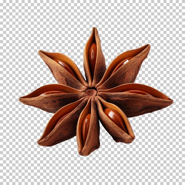 Top view of fresh organic star anise spice fruits isolated on transparent background