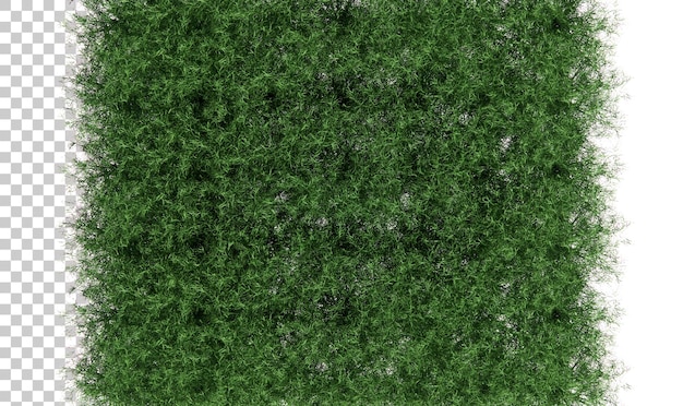 PSD top view grass bush 3d rendering for garden