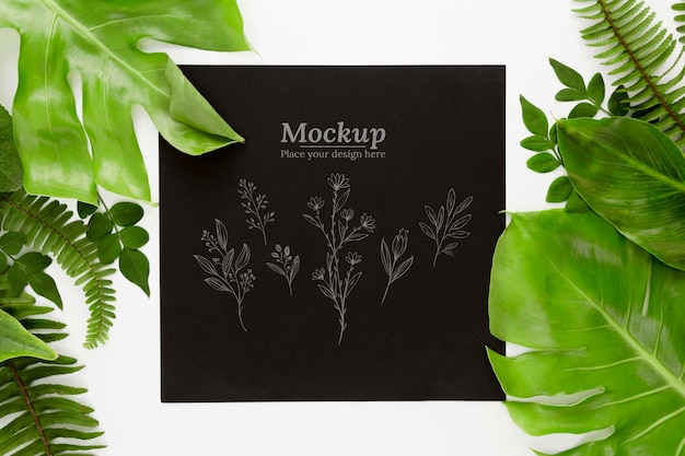 top view green leaves with mock-up