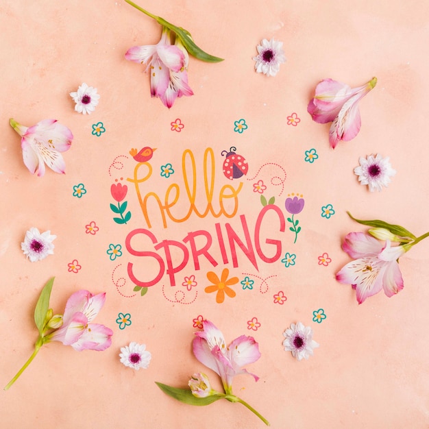 top view hello spring frame concept