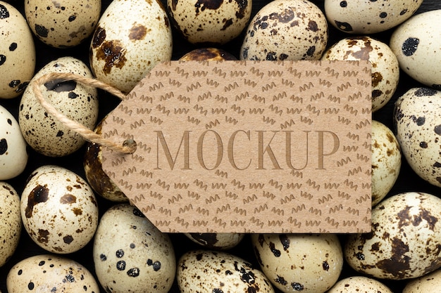 Top view of mock-up frame tag with eggs