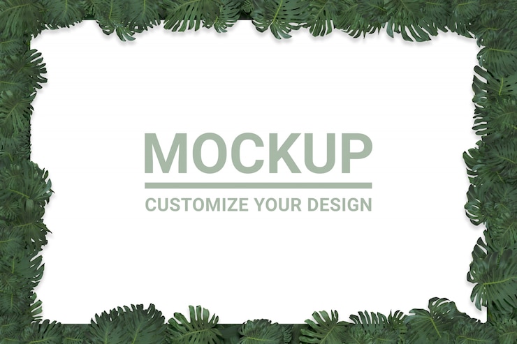 PSD top view of monstera plant leaves or tropical foliage background in green forest