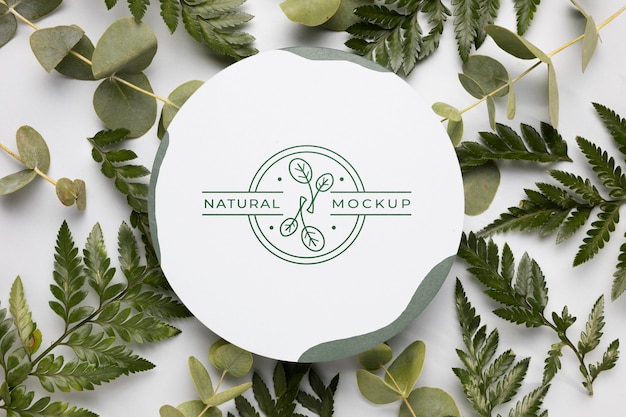 PSD top view natural mock-up with leaves