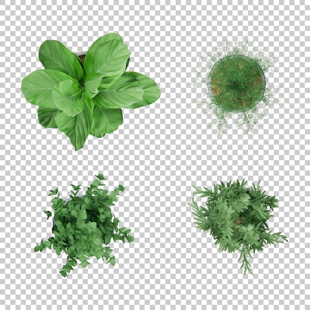 植物の3dレンダリング要素の上面図