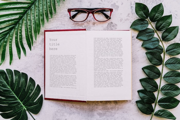 top view open book mockup