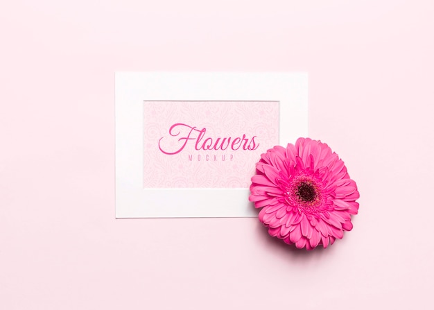 Top view pink flower with white frame