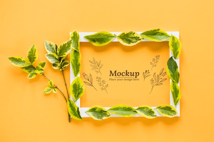 PSD top view plant with white frame