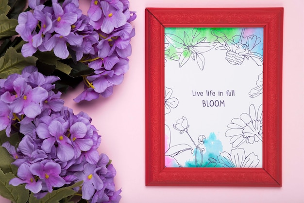 Top view of purple phlox and frame