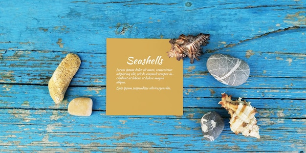 top view sea beach accessories seashells summer.