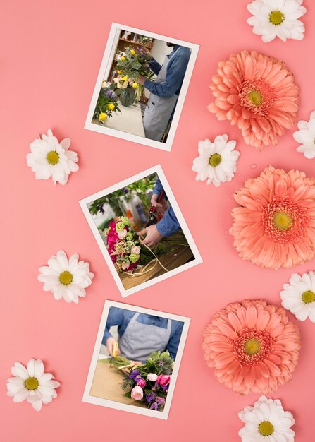 Top view of spring daisies with photos and chamomile