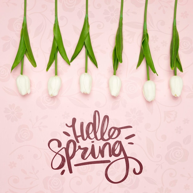 PSD top view of white spring tulips