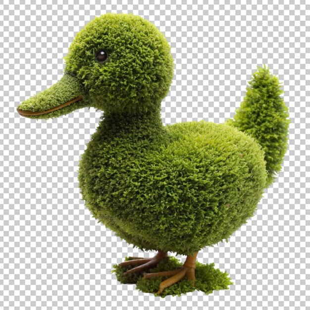 PSD topiary kaczki