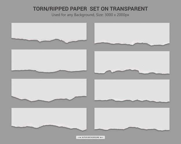 PSD torn paper realistic transparent set