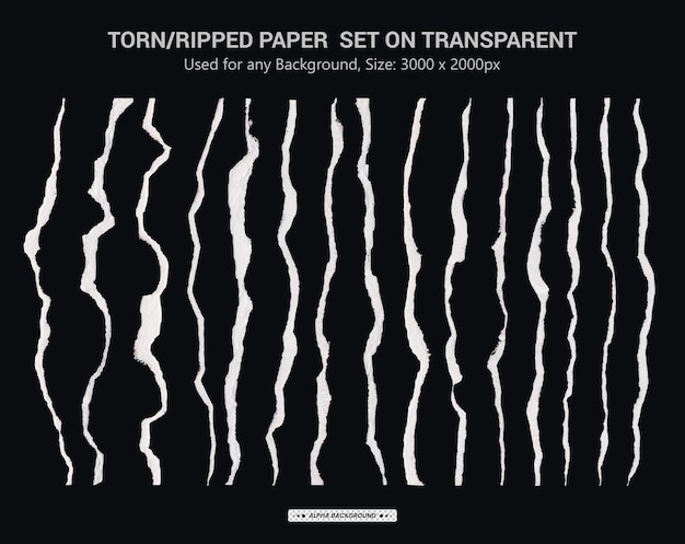 Torn paper realistic transparent set