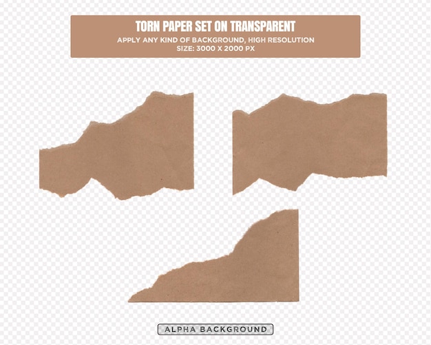 Torn paper transparent background