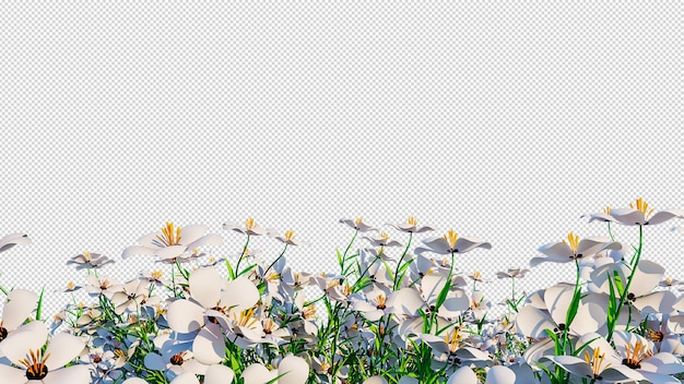 PSD transparan flowers background