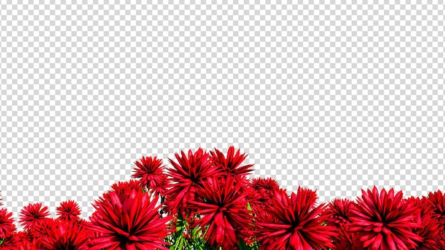 PSD トランスパランの花の背景