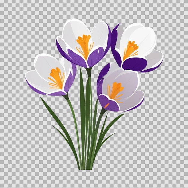 Transparante achtergrond van krokusbloem