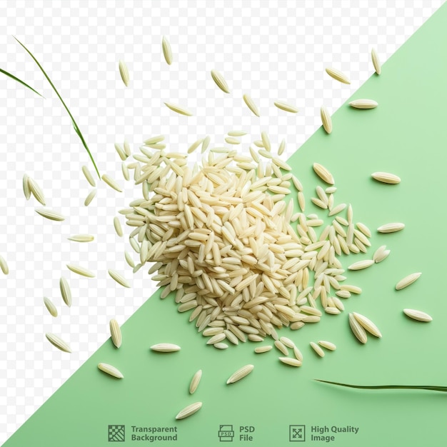 PSD transparent background photo of rice seeds